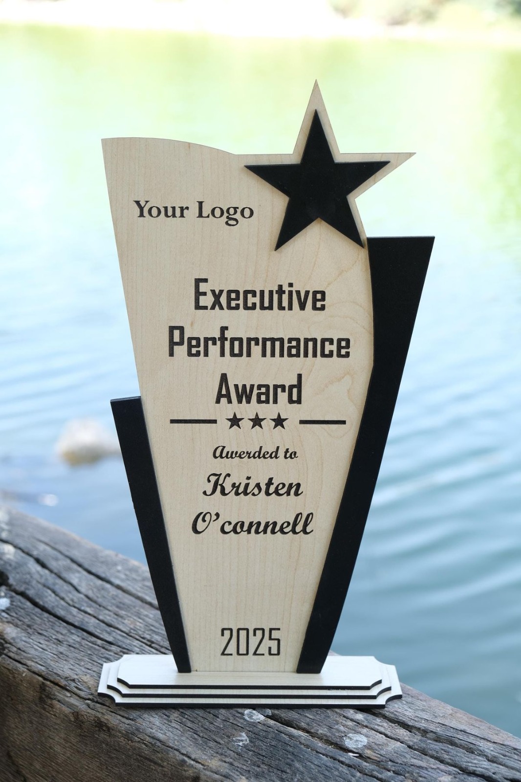 The Obsidian Star Executive Award
